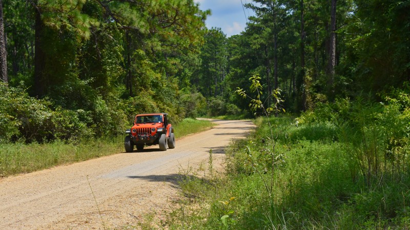 New York Road Trail Review Photo