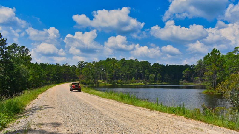 Mississippi: Leaf Road Hero Photo