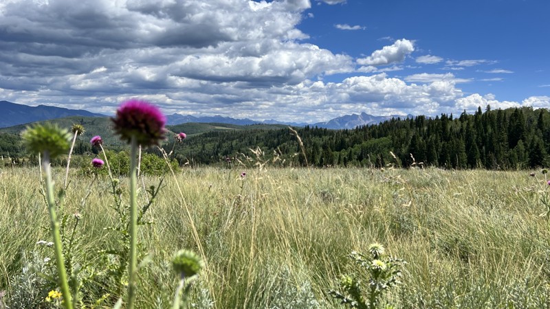Colorado: Stevens Gulch Hero Photo