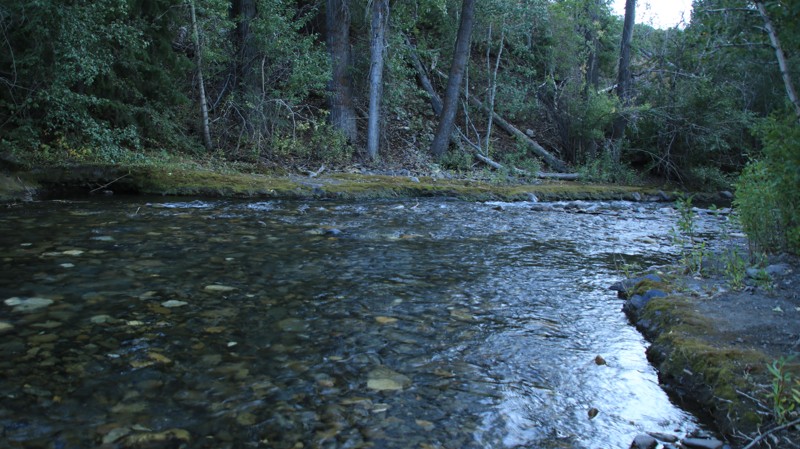 North Fork Big Wood River Trail Review Photo