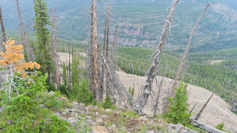 Lambert Hollow Trail Review Photo