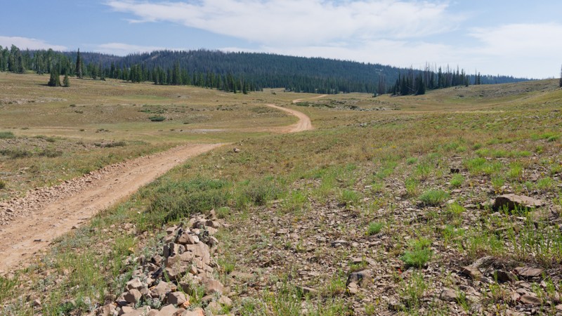Rhodes Canyon Trail Review Photo