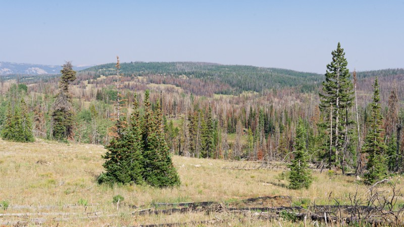 Silver Meadows Trail Review Photo