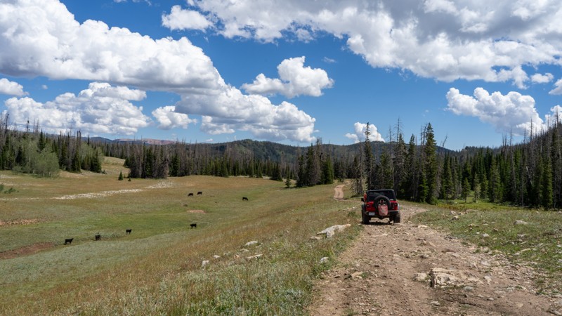 Utah: Mill Fork Hero Photo