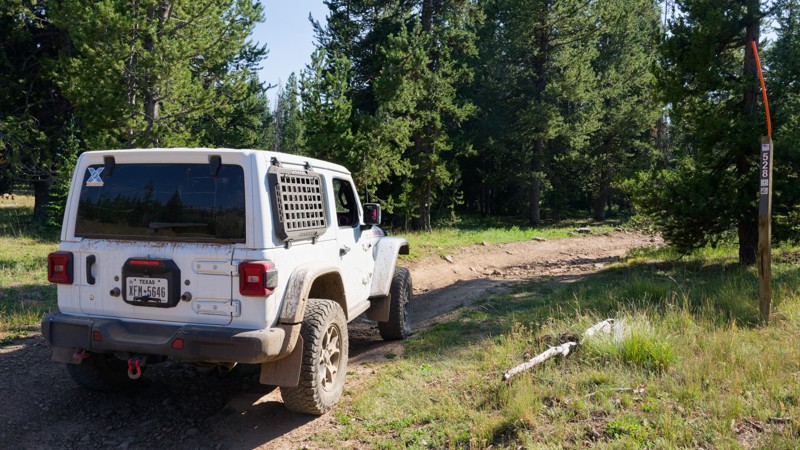 Forest Boundary Trail Review Photo
