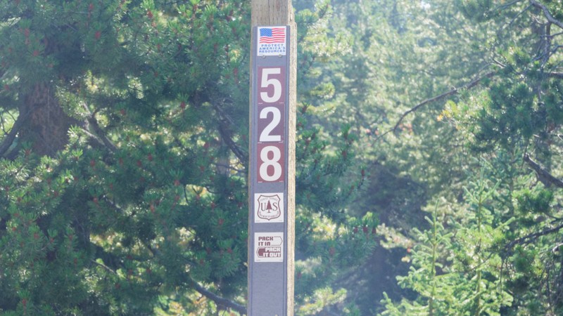 Forest Boundary Trail Review Photo