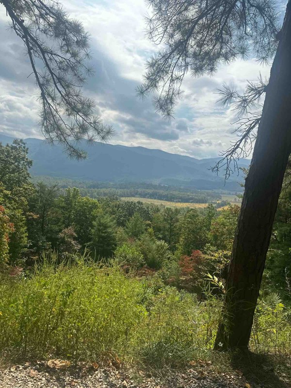Rich Mountain Road Trail Review Photo