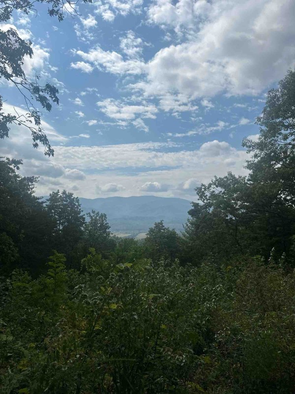 Rich Mountain Road Trail Review Photo
