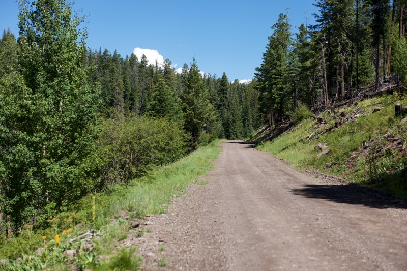 Lost Cienega Trail Review Photo