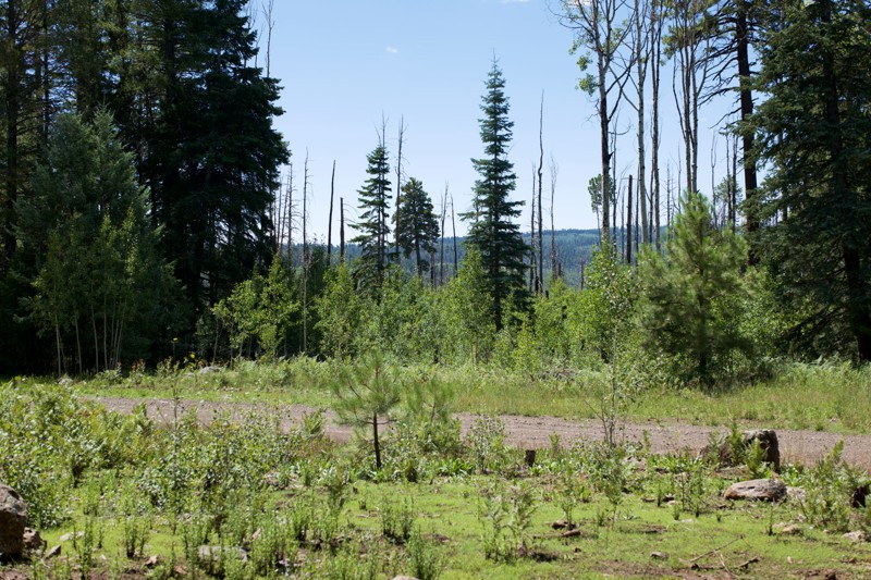 Lost Cienega Trail Review Photo