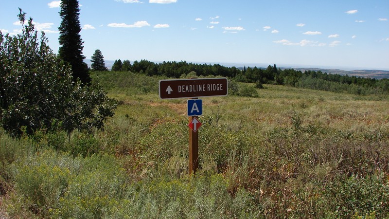 Upper Deadline Ridge Road Trail Review Photo