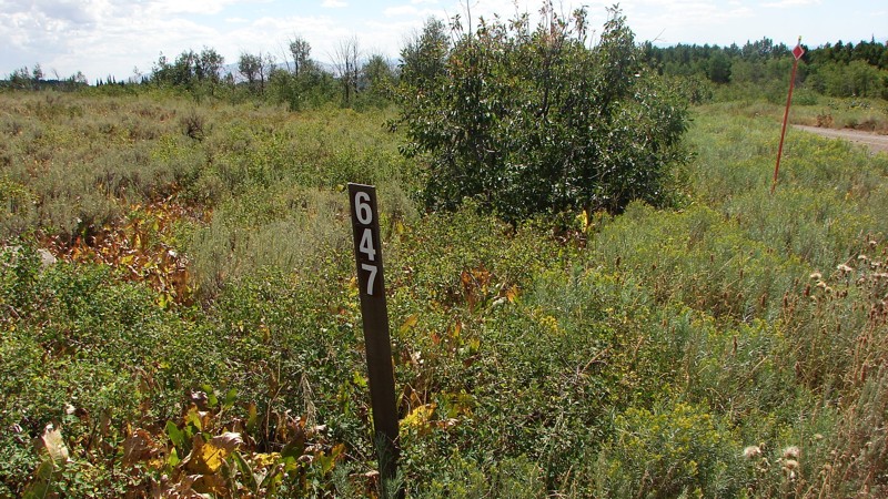 Upper Deadline Ridge Road Trail Review Photo