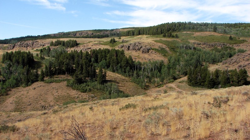Idaho: Winecup Road Hero Photo