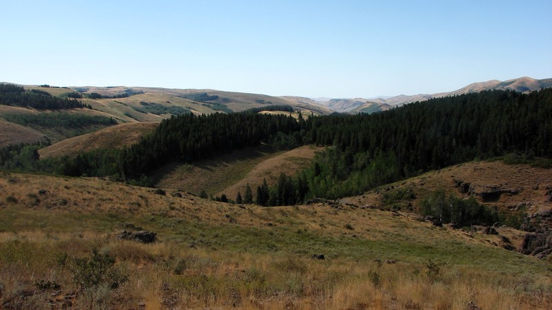 Winecup Road Trail Review Photo