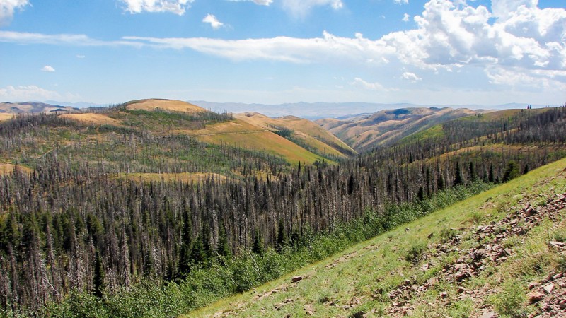 Idaho: Oakley Rogerson Road Hero Photo