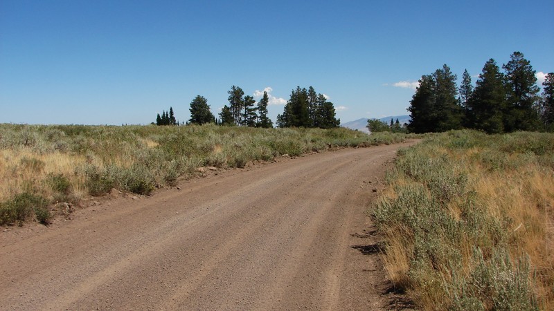 Oakley Rogerson Road Trail Review Photo