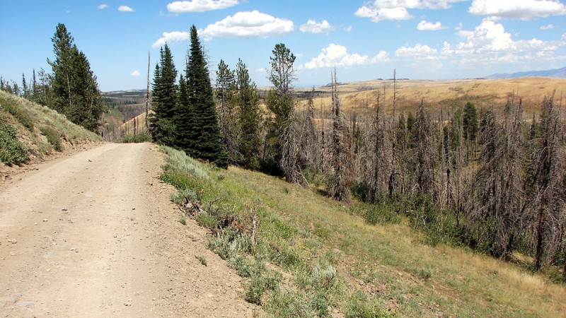 Oakley Rogerson Road Trail Review Photo