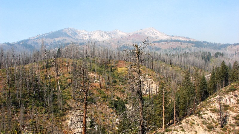 Idaho: Wagontown Road Hero Photo