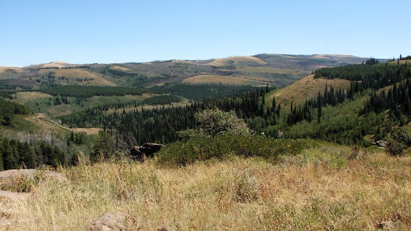 Idaho: Deadline Ridge Road Hero Photo