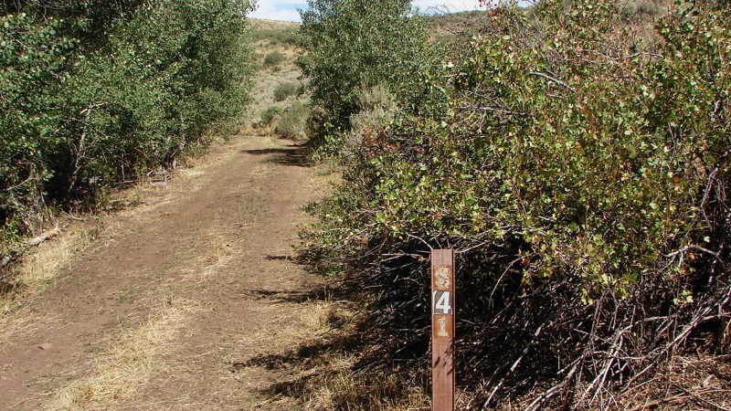 Deadline Ridge Road Trail Review Photo