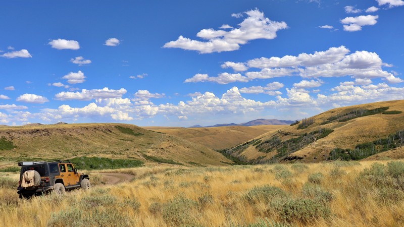 Nevada: Pole Creek-Canyon Creek Hero Photo