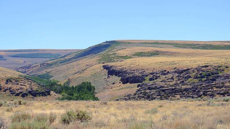 Pole Creek-Canyon Creek Trail Review Photo