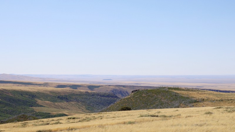 Cougar Point Trail Review Photo