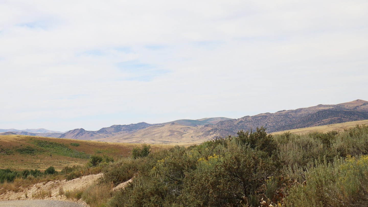 Hero: Gold Creek/Meadow Creek
