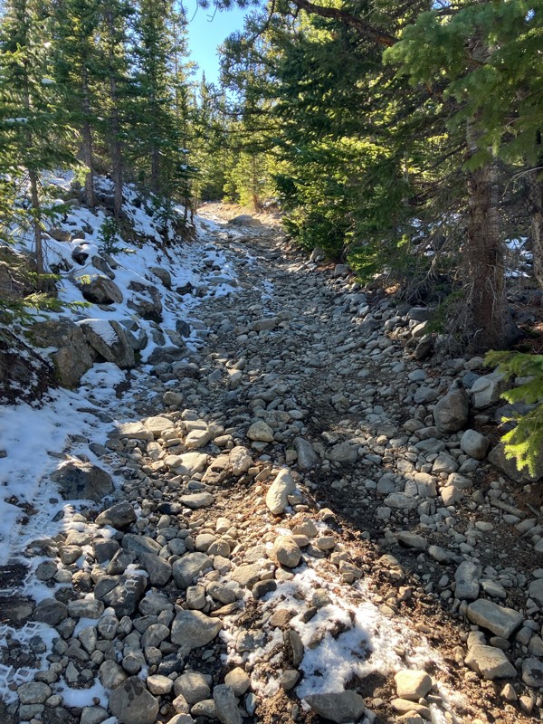 Waldorf Wagon Road Trail Review Photo