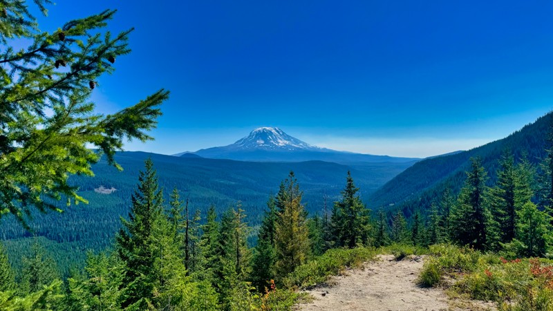 Washington: North Fork Cispus Hero Photo