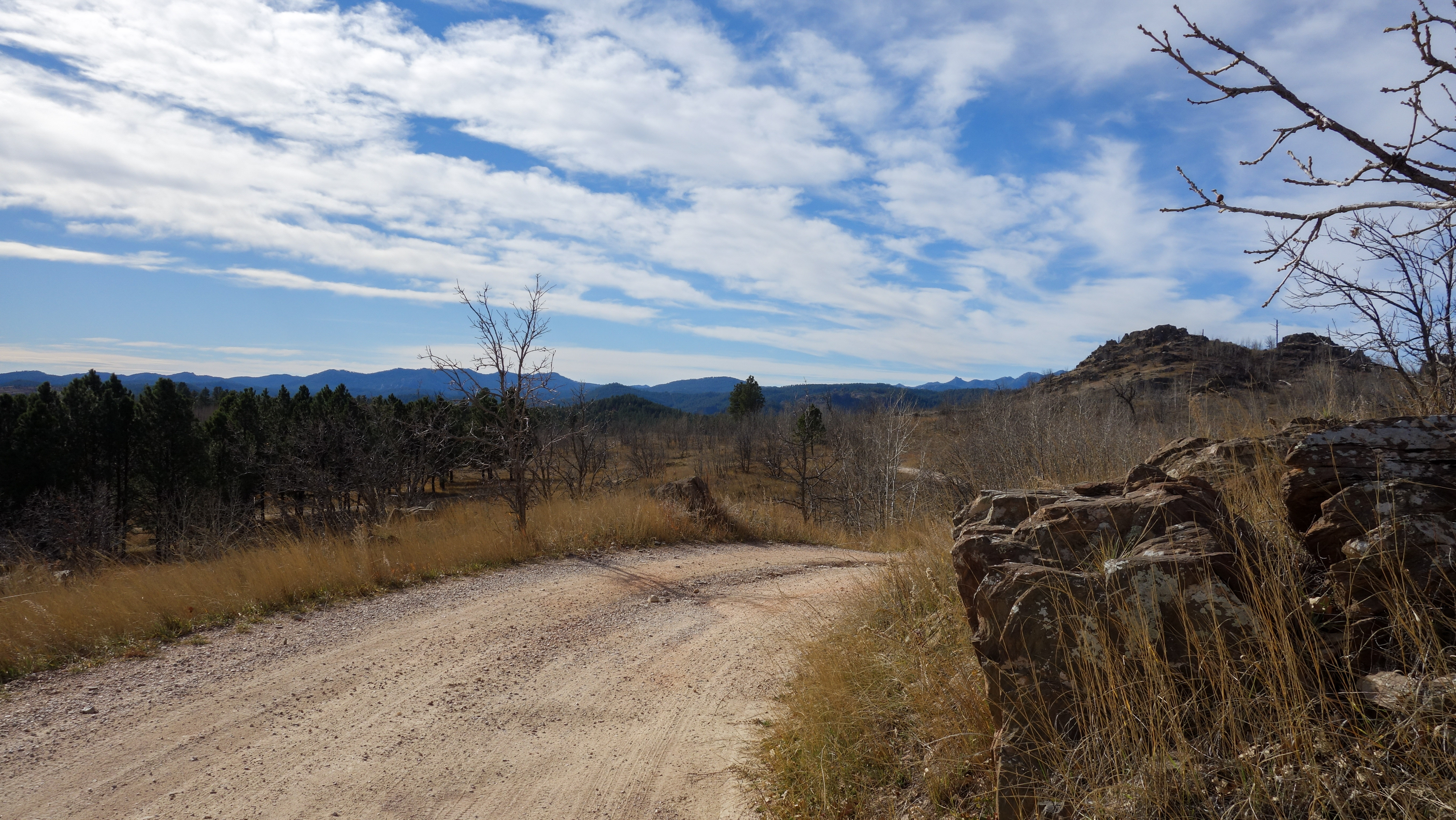 Long Run - Beginner Trails