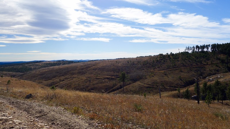 Long Run Trail Review Photo