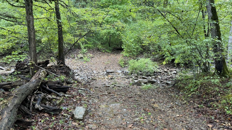 FS 93053A Trail Review Photo