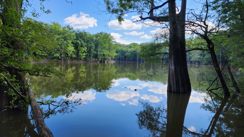 Arkansas: Webb Lake Road Hero Photo