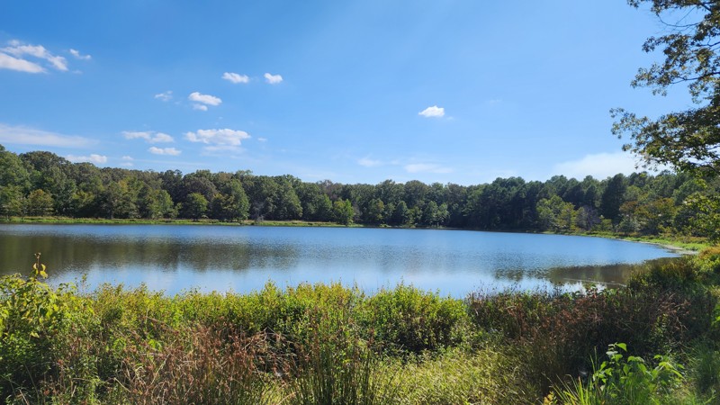 Webb Lake Road Trail Review Photo