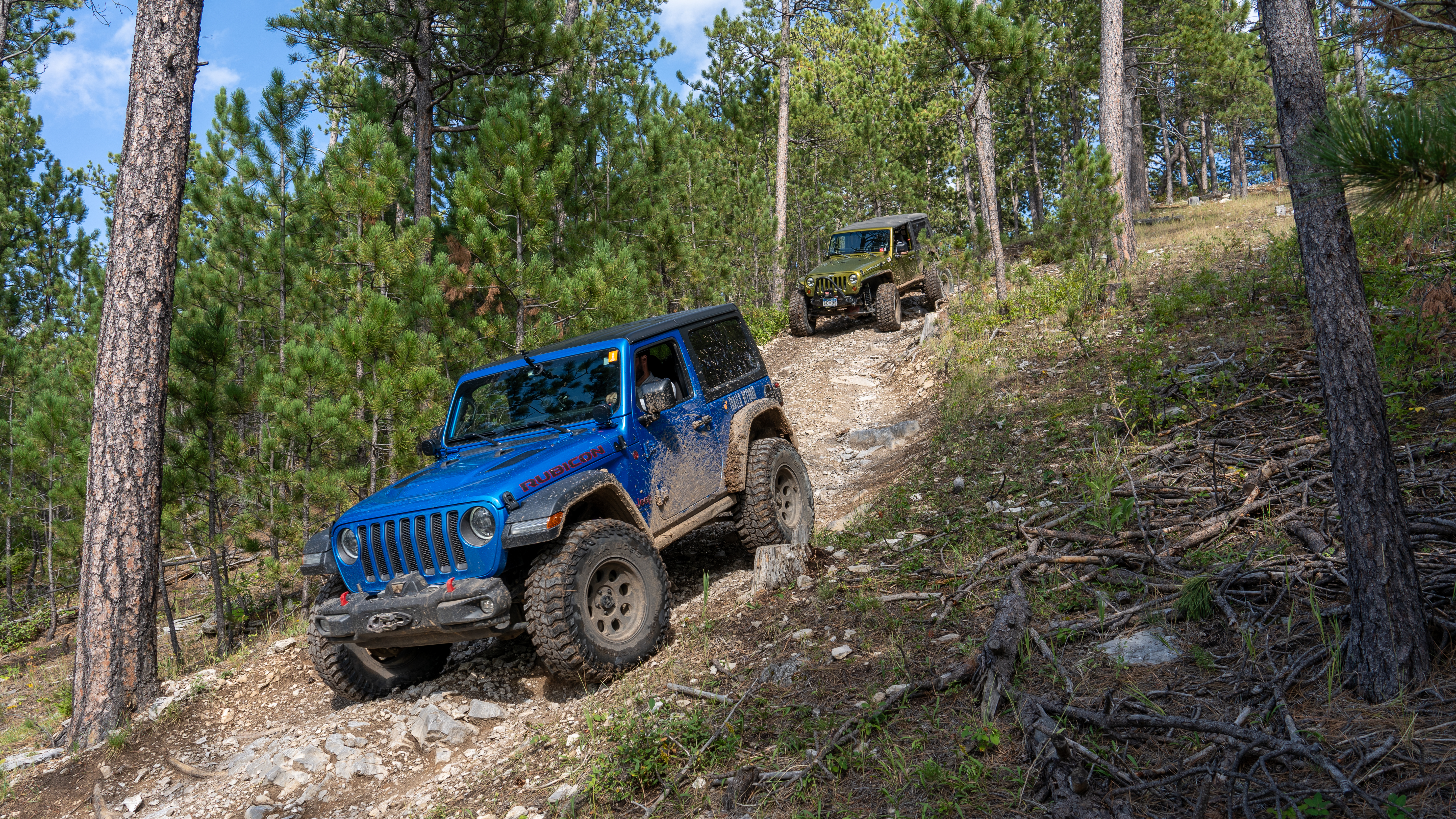 Moses Hill - Beginner Trails
