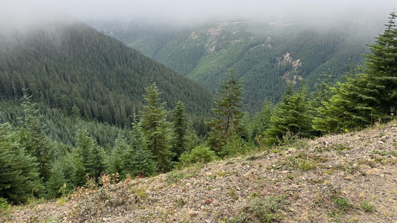 Blowout Creek Trail Review Photo