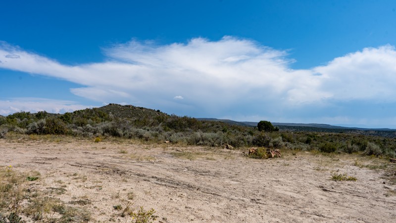 Miners Draw Road Trail Review Photo