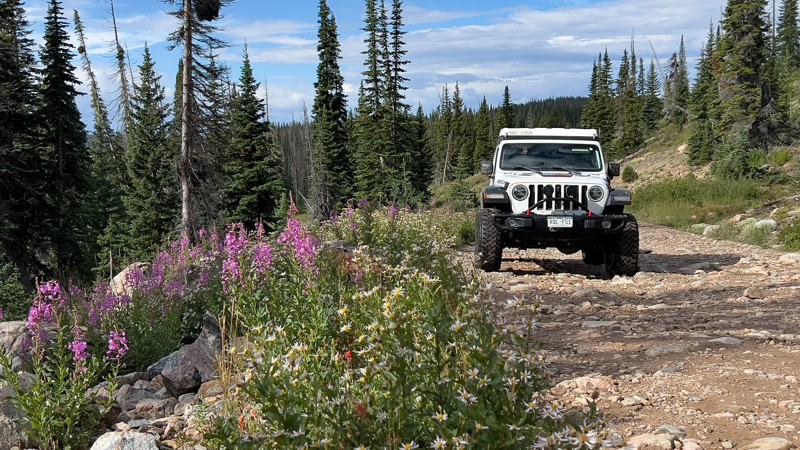 Colorado: Buffalo Pass Hero Photo