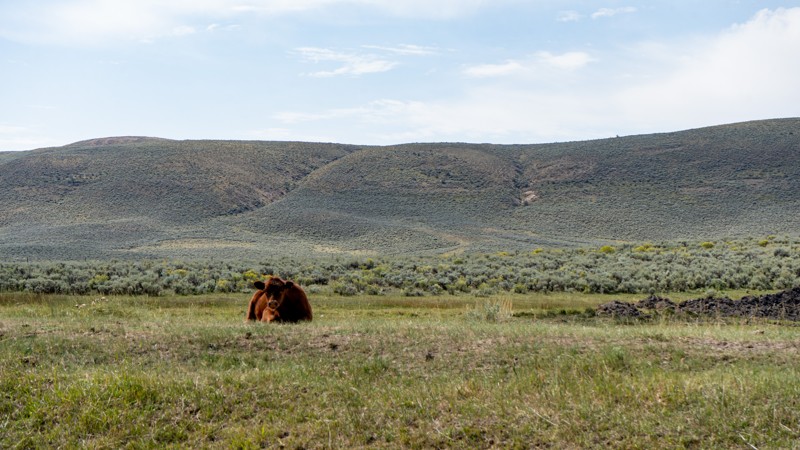Moffatt County Road 16 Trail Review Photo