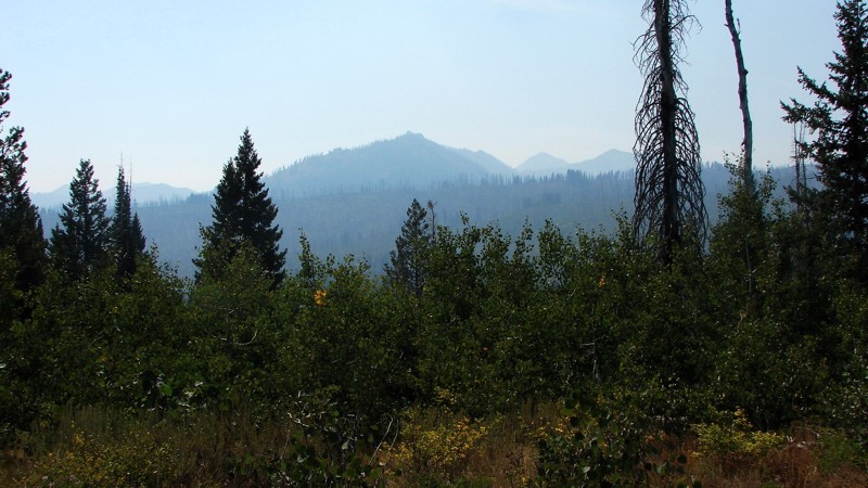 Idaho: Trinity Creek Road Hero Photo