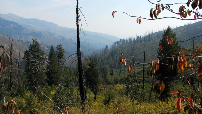 Idaho: James Creek Road Hero Photo