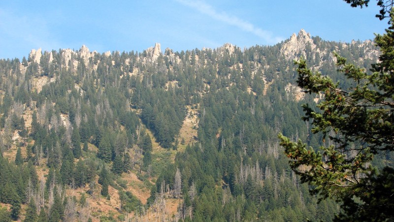 Idaho: Phifer Creek Road Hero Photo
