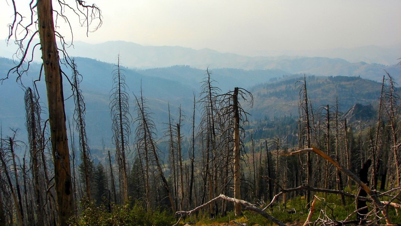 Idaho: Roaring River Road Hero Photo