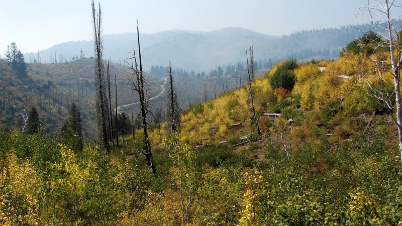 Idaho: Edna Creek Road Hero Photo