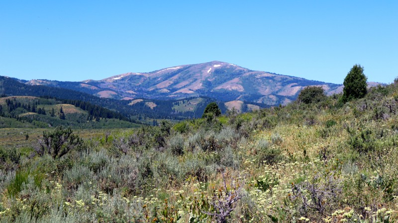 Idaho: Long Gulch Road Hero Photo