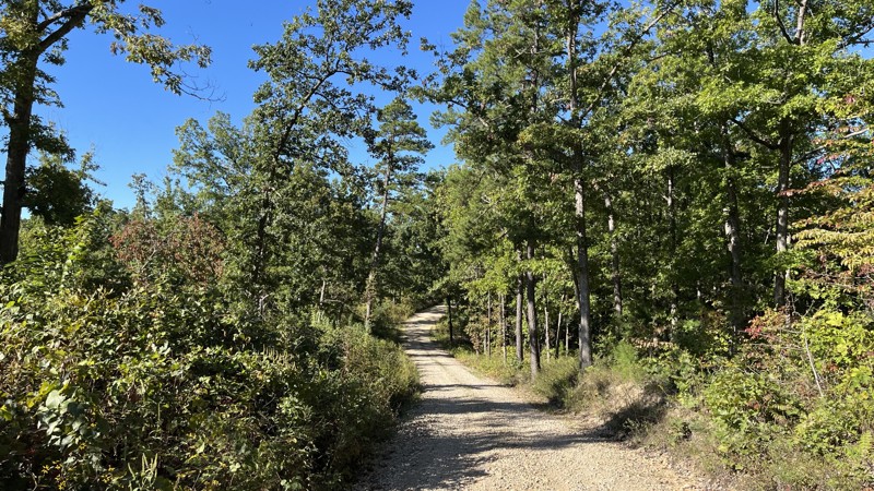 Timber Lane Trail Review Photo