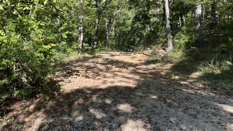 Timber Lane Spur B Trail Review Photo