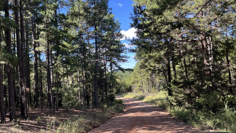 Palmer North Trail Review Photo