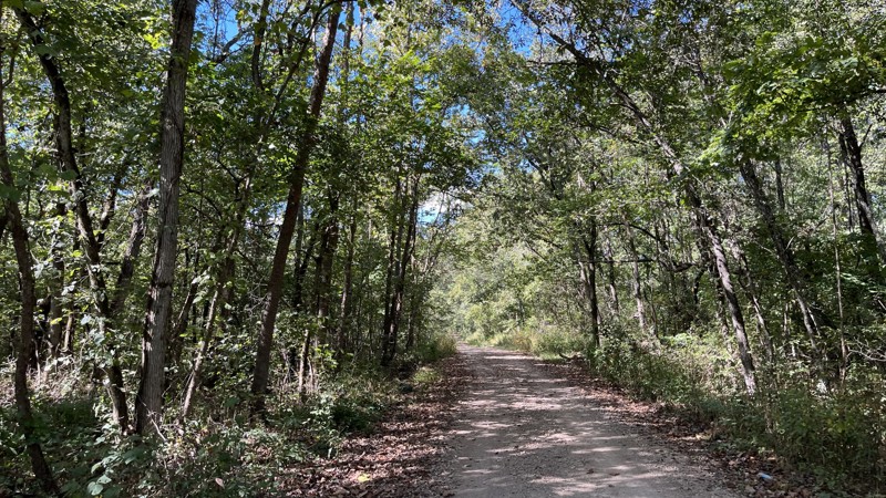 Palmer North Trail Review Photo